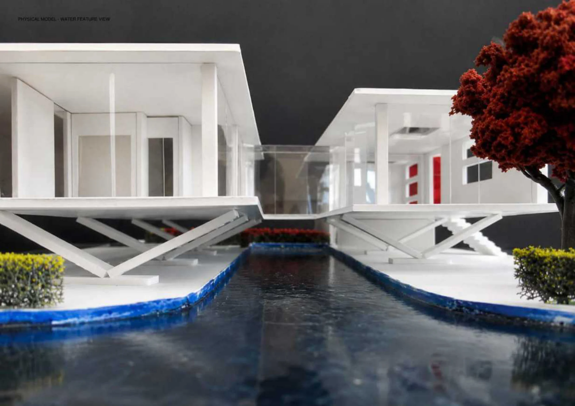 Between Water and Walls — portfolio image 6