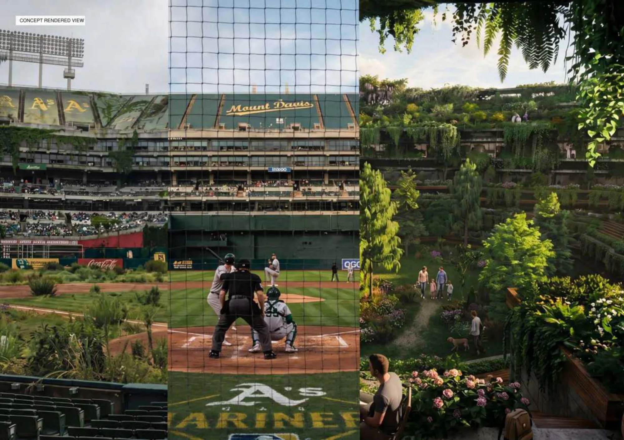 PLAY BALL! — portfolio image 1