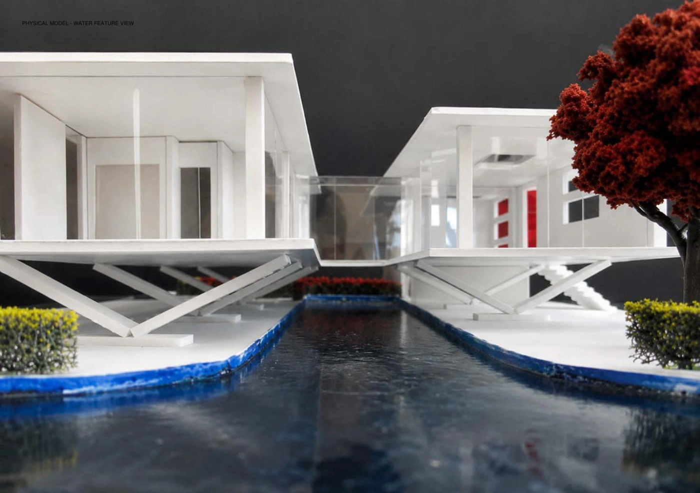 Between Water and Walls preview